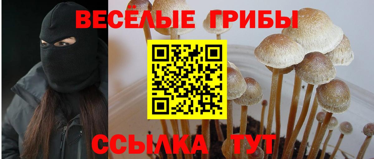 купить наркотики сайты  Галлюциногенные грибы Magic Shrooms  Вход с VPN  Лосино-Петровский 